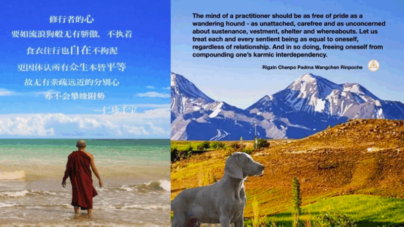 BF27030E-6E4C-43BD-AF72-6940021837B8