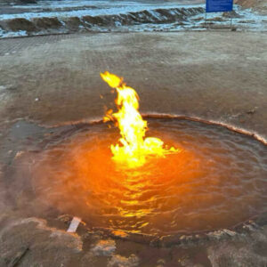 Profile photo of wangmo