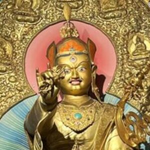 仁珍貝璽的个人资料照片