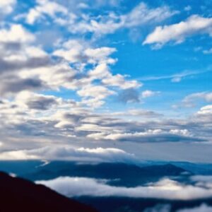 空行之书信的组标识
